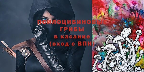 ПСИЛОЦИБИНОВЫЕ ГРИБЫ Верхний Тагил