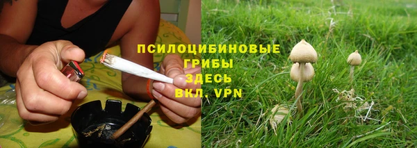 ПСИЛОЦИБИНОВЫЕ ГРИБЫ Орск