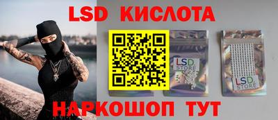 крисы Шахты