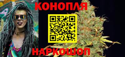 крисы Шахты