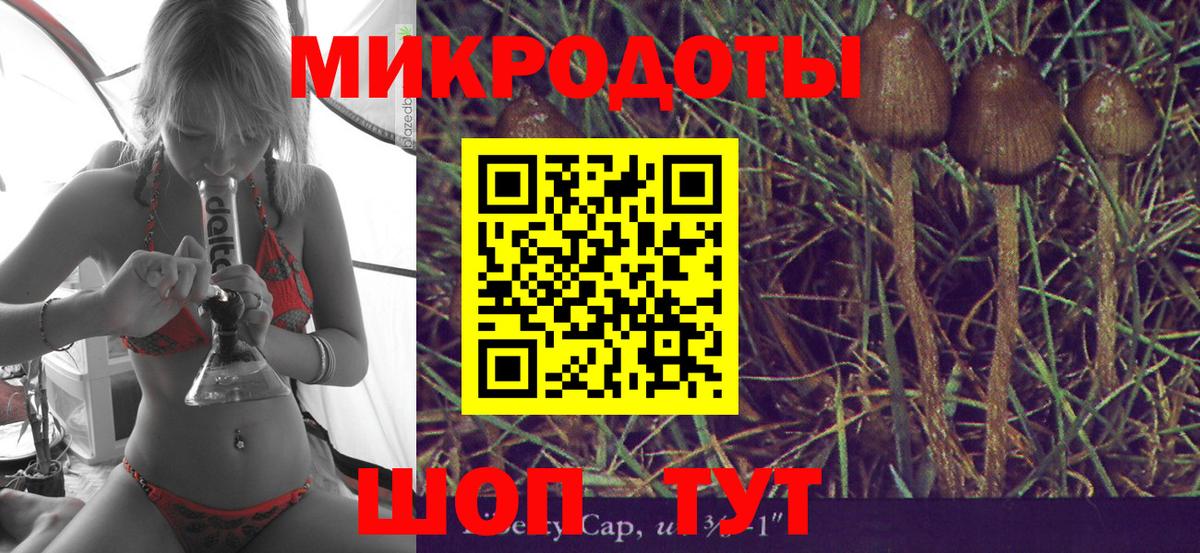 Галлюциногенные грибы GOLDEN TEACHER Бузулук