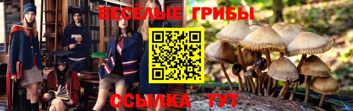 Псилоцибиновые грибы мицелий  Вход с VPN  купить наркоту  Бузулук 